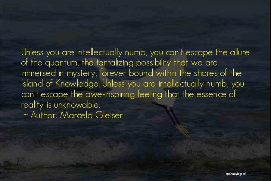 Marcelo Gleiser Quotes: Unless You Are Intellectually Numb, You Can't Escape The Allure Of The Quantum, The Tantalizing Possibility That We Are Immersed