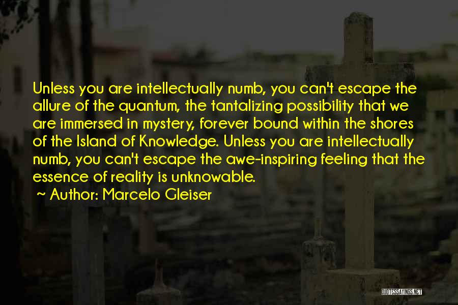 Marcelo Gleiser Quotes: Unless You Are Intellectually Numb, You Can't Escape The Allure Of The Quantum, The Tantalizing Possibility That We Are Immersed