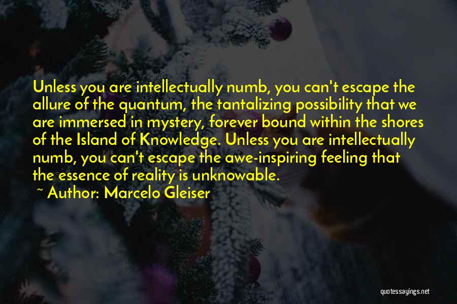 Marcelo Gleiser Quotes: Unless You Are Intellectually Numb, You Can't Escape The Allure Of The Quantum, The Tantalizing Possibility That We Are Immersed