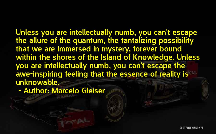 Marcelo Gleiser Quotes: Unless You Are Intellectually Numb, You Can't Escape The Allure Of The Quantum, The Tantalizing Possibility That We Are Immersed