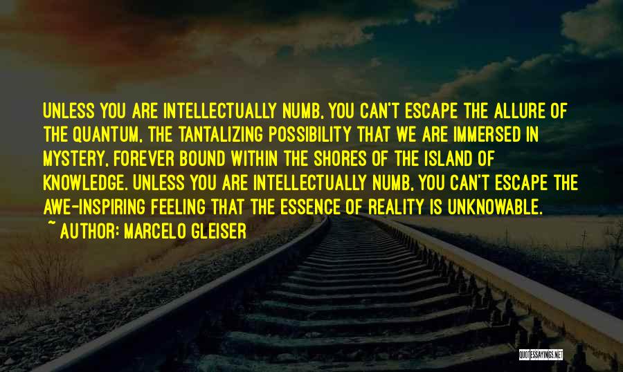 Marcelo Gleiser Quotes: Unless You Are Intellectually Numb, You Can't Escape The Allure Of The Quantum, The Tantalizing Possibility That We Are Immersed