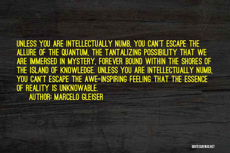 Marcelo Gleiser Quotes: Unless You Are Intellectually Numb, You Can't Escape The Allure Of The Quantum, The Tantalizing Possibility That We Are Immersed