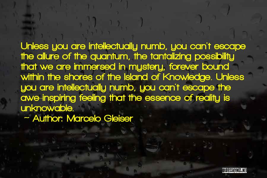 Marcelo Gleiser Quotes: Unless You Are Intellectually Numb, You Can't Escape The Allure Of The Quantum, The Tantalizing Possibility That We Are Immersed