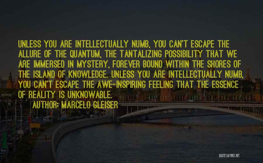 Marcelo Gleiser Quotes: Unless You Are Intellectually Numb, You Can't Escape The Allure Of The Quantum, The Tantalizing Possibility That We Are Immersed