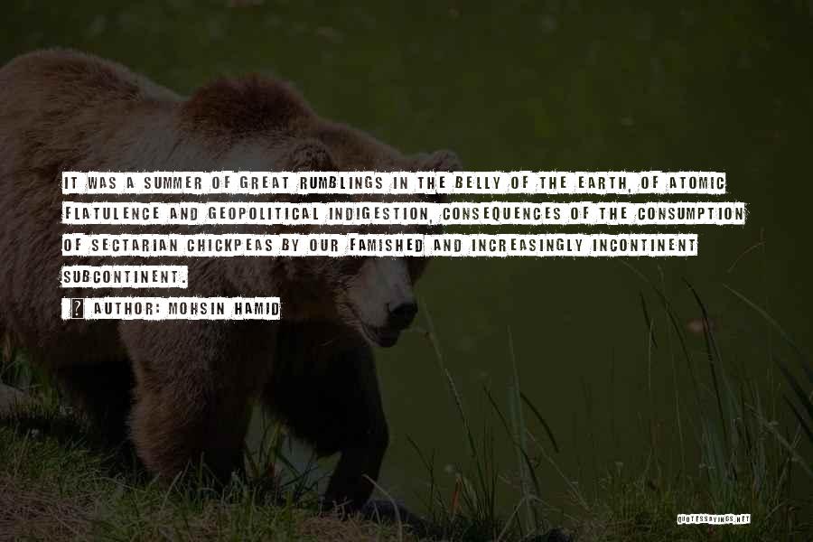 Mohsin Hamid Quotes: It Was A Summer Of Great Rumblings In The Belly Of The Earth, Of Atomic Flatulence And Geopolitical Indigestion, Consequences