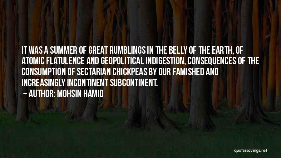 Mohsin Hamid Quotes: It Was A Summer Of Great Rumblings In The Belly Of The Earth, Of Atomic Flatulence And Geopolitical Indigestion, Consequences