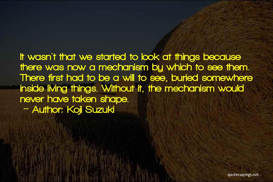 Koji Suzuki Quotes: It Wasn't That We Started To Look At Things Because There Was Now A Mechanism By Which To See Them.