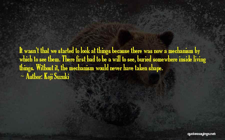 Koji Suzuki Quotes: It Wasn't That We Started To Look At Things Because There Was Now A Mechanism By Which To See Them.