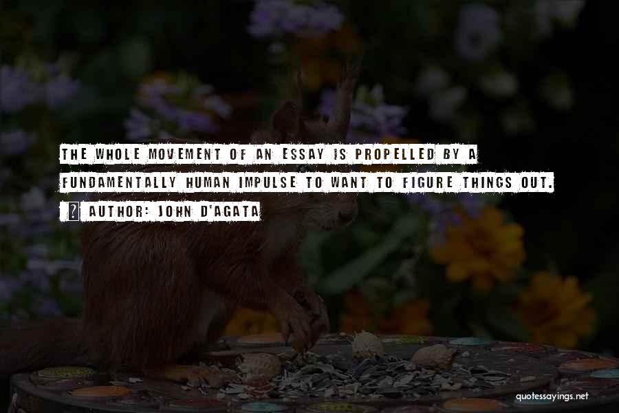 John D'Agata Quotes: The Whole Movement Of An Essay Is Propelled By A Fundamentally Human Impulse To Want To Figure Things Out.