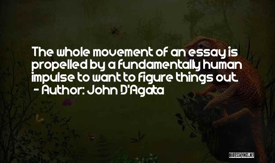 John D'Agata Quotes: The Whole Movement Of An Essay Is Propelled By A Fundamentally Human Impulse To Want To Figure Things Out.