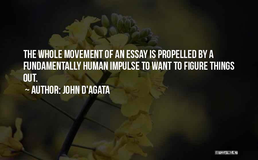 John D'Agata Quotes: The Whole Movement Of An Essay Is Propelled By A Fundamentally Human Impulse To Want To Figure Things Out.