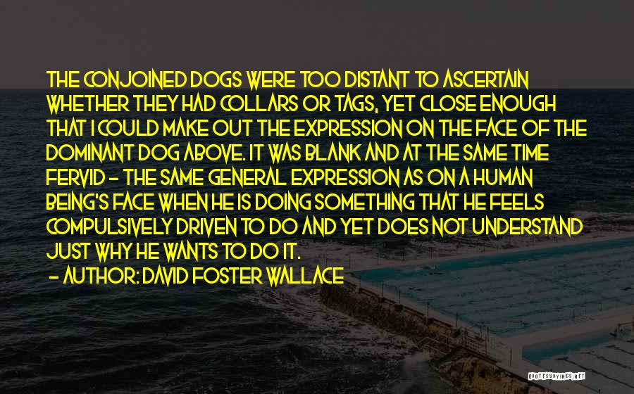 David Foster Wallace Quotes: The Conjoined Dogs Were Too Distant To Ascertain Whether They Had Collars Or Tags, Yet Close Enough That I Could