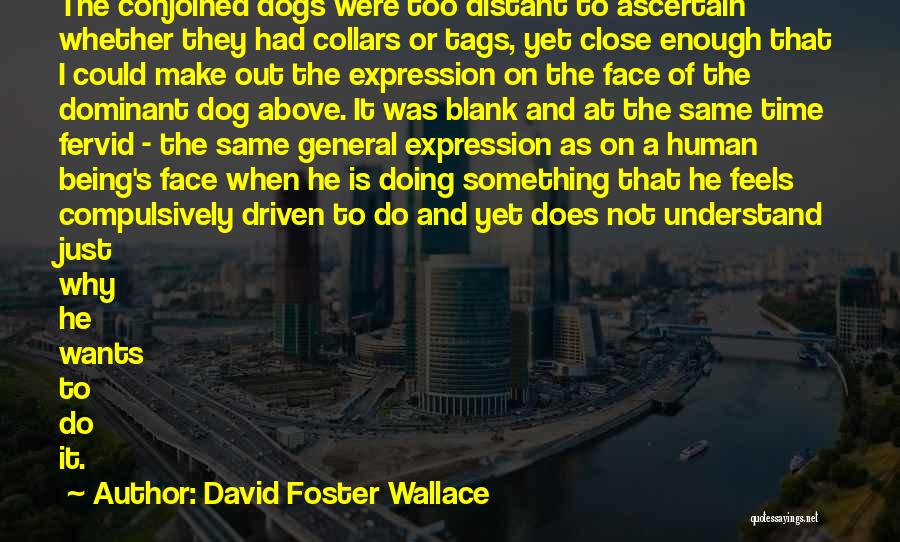 David Foster Wallace Quotes: The Conjoined Dogs Were Too Distant To Ascertain Whether They Had Collars Or Tags, Yet Close Enough That I Could