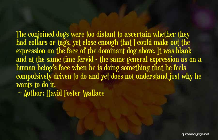 David Foster Wallace Quotes: The Conjoined Dogs Were Too Distant To Ascertain Whether They Had Collars Or Tags, Yet Close Enough That I Could