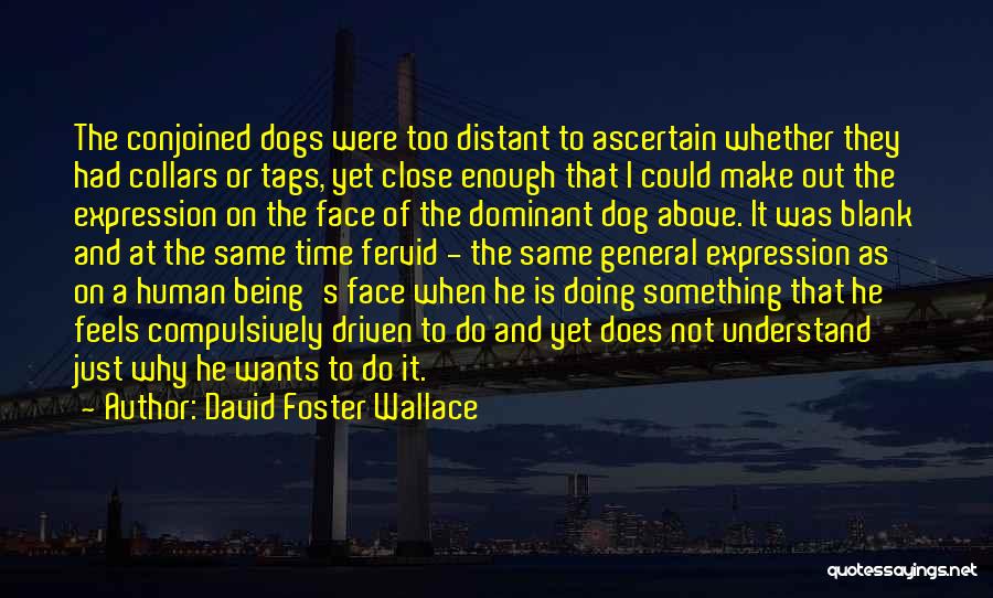 David Foster Wallace Quotes: The Conjoined Dogs Were Too Distant To Ascertain Whether They Had Collars Or Tags, Yet Close Enough That I Could