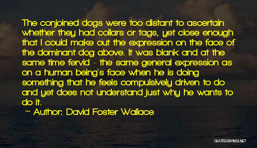 David Foster Wallace Quotes: The Conjoined Dogs Were Too Distant To Ascertain Whether They Had Collars Or Tags, Yet Close Enough That I Could