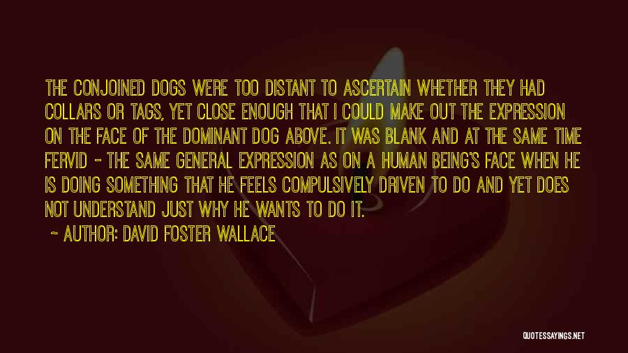 David Foster Wallace Quotes: The Conjoined Dogs Were Too Distant To Ascertain Whether They Had Collars Or Tags, Yet Close Enough That I Could