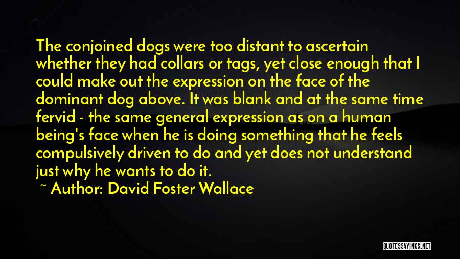 David Foster Wallace Quotes: The Conjoined Dogs Were Too Distant To Ascertain Whether They Had Collars Or Tags, Yet Close Enough That I Could