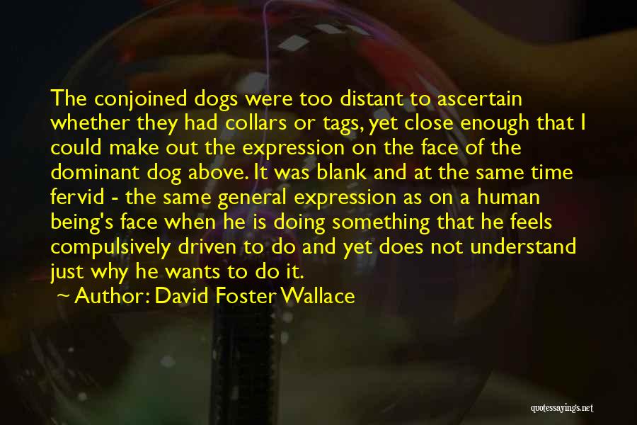 David Foster Wallace Quotes: The Conjoined Dogs Were Too Distant To Ascertain Whether They Had Collars Or Tags, Yet Close Enough That I Could