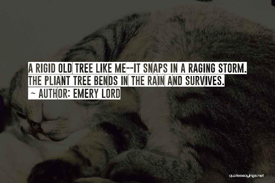 Emery Lord Quotes: A Rigid Old Tree Like Me--it Snaps In A Raging Storm. The Pliant Tree Bends In The Rain And Survives.