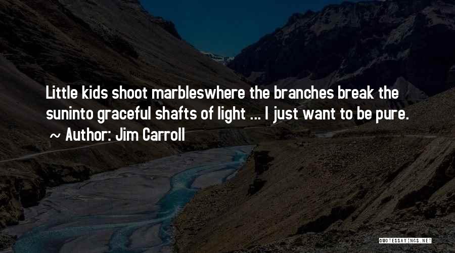 Jim Carroll Quotes: Little Kids Shoot Marbleswhere The Branches Break The Suninto Graceful Shafts Of Light ... I Just Want To Be Pure.