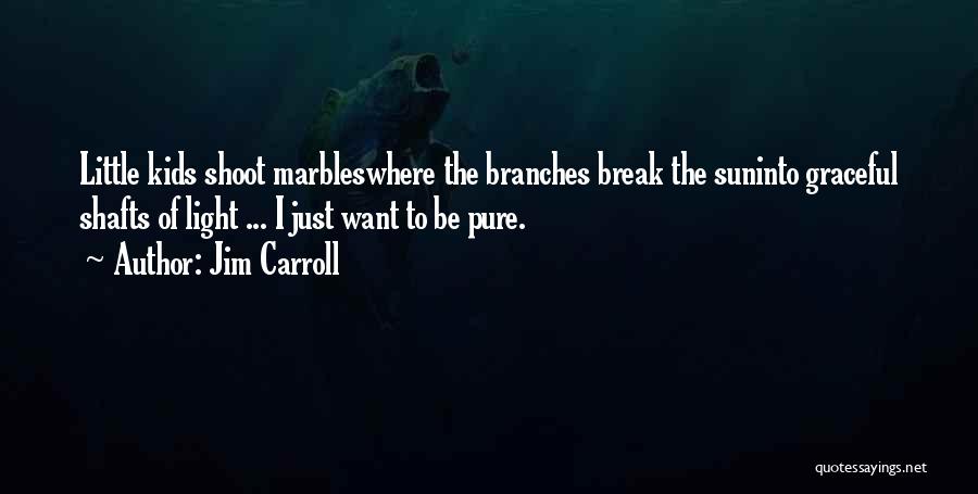 Jim Carroll Quotes: Little Kids Shoot Marbleswhere The Branches Break The Suninto Graceful Shafts Of Light ... I Just Want To Be Pure.