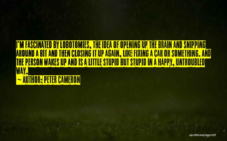 Peter Cameron Quotes: I'm Fascinated By Lobotomies, The Idea Of Opening Up The Brain And Snipping Around A Bit And Then Closing It