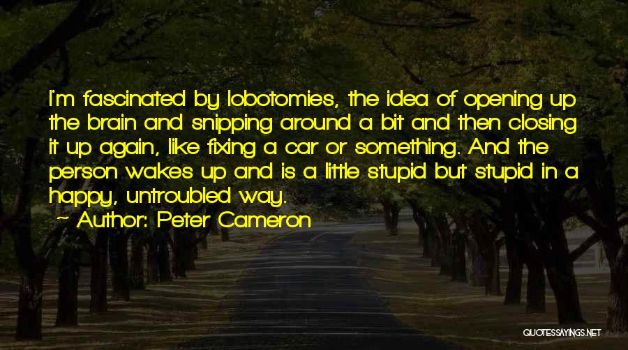 Peter Cameron Quotes: I'm Fascinated By Lobotomies, The Idea Of Opening Up The Brain And Snipping Around A Bit And Then Closing It