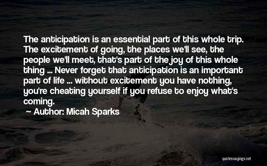 Micah Sparks Quotes: The Anticipation Is An Essential Part Of This Whole Trip. The Excitement Of Going, The Places We'll See, The People