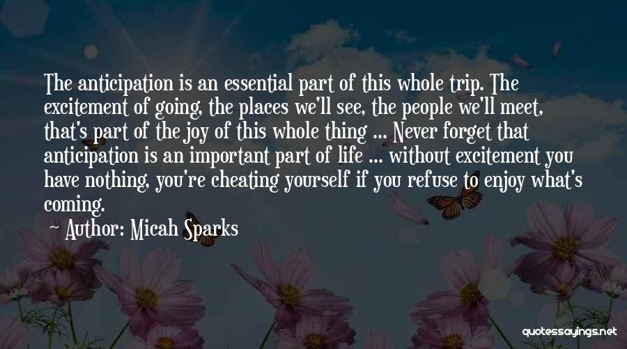 Micah Sparks Quotes: The Anticipation Is An Essential Part Of This Whole Trip. The Excitement Of Going, The Places We'll See, The People