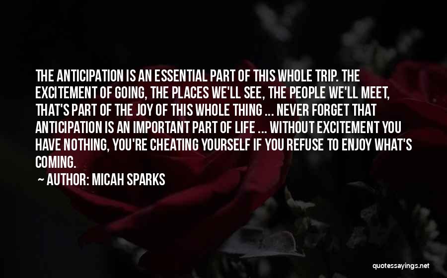 Micah Sparks Quotes: The Anticipation Is An Essential Part Of This Whole Trip. The Excitement Of Going, The Places We'll See, The People
