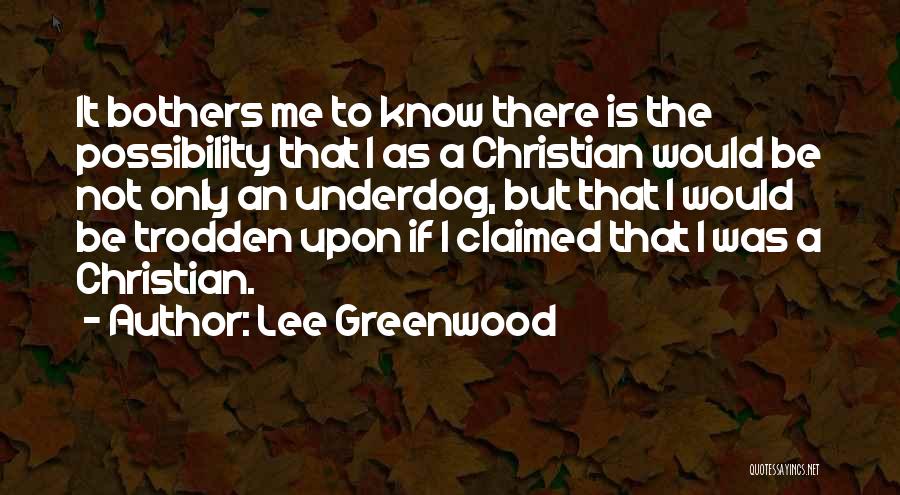 Lee Greenwood Quotes: It Bothers Me To Know There Is The Possibility That I As A Christian Would Be Not Only An Underdog,