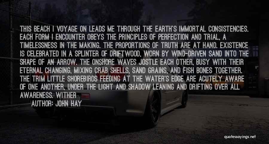 John Hay Quotes: This Beach I Voyage On Leads Me Through The Earth's Immortal Consistencies. Each Form I Encounter Obeys The Principles Of