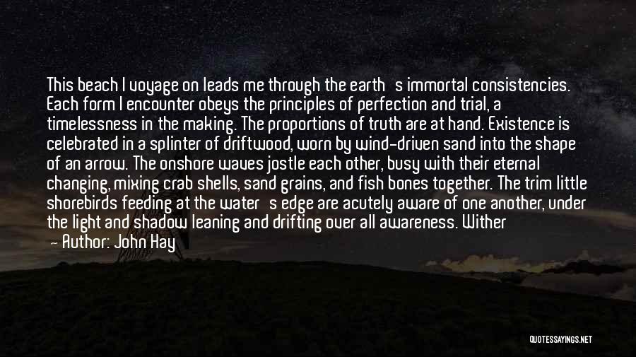 John Hay Quotes: This Beach I Voyage On Leads Me Through The Earth's Immortal Consistencies. Each Form I Encounter Obeys The Principles Of