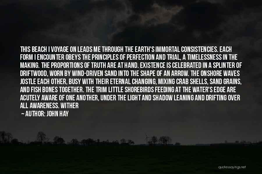 John Hay Quotes: This Beach I Voyage On Leads Me Through The Earth's Immortal Consistencies. Each Form I Encounter Obeys The Principles Of
