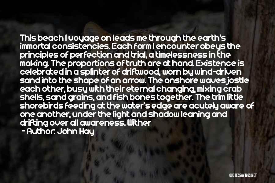 John Hay Quotes: This Beach I Voyage On Leads Me Through The Earth's Immortal Consistencies. Each Form I Encounter Obeys The Principles Of