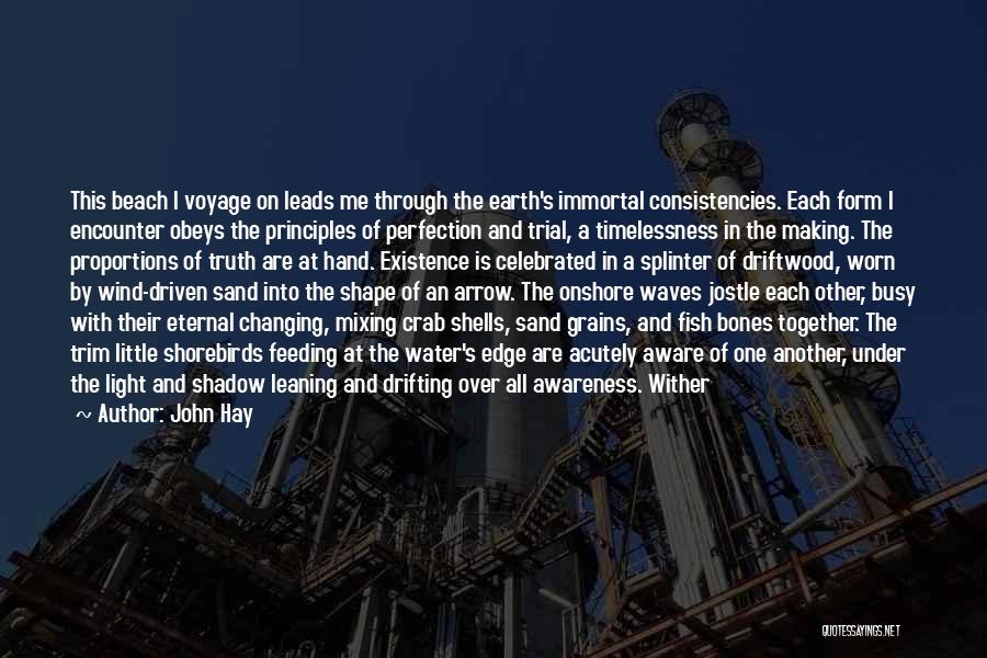 John Hay Quotes: This Beach I Voyage On Leads Me Through The Earth's Immortal Consistencies. Each Form I Encounter Obeys The Principles Of