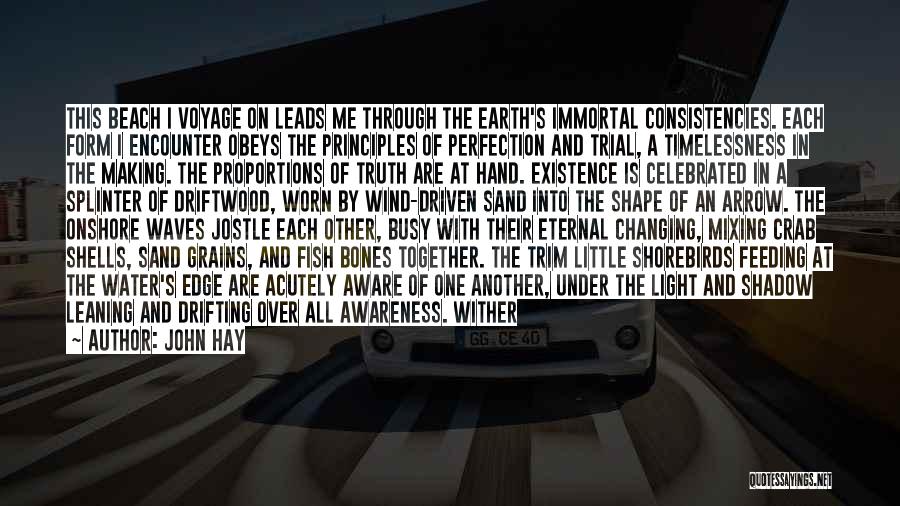 John Hay Quotes: This Beach I Voyage On Leads Me Through The Earth's Immortal Consistencies. Each Form I Encounter Obeys The Principles Of