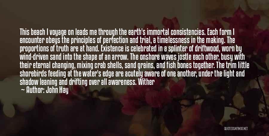 John Hay Quotes: This Beach I Voyage On Leads Me Through The Earth's Immortal Consistencies. Each Form I Encounter Obeys The Principles Of