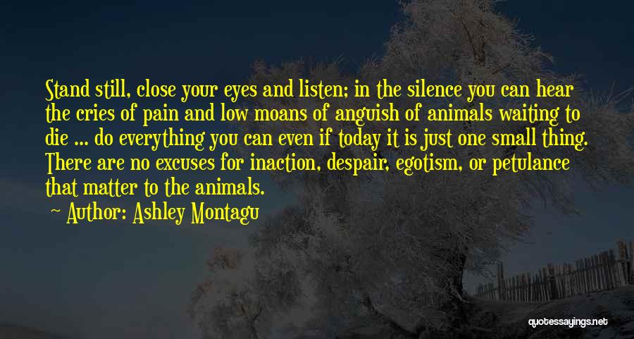 Ashley Montagu Quotes: Stand Still, Close Your Eyes And Listen; In The Silence You Can Hear The Cries Of Pain And Low Moans