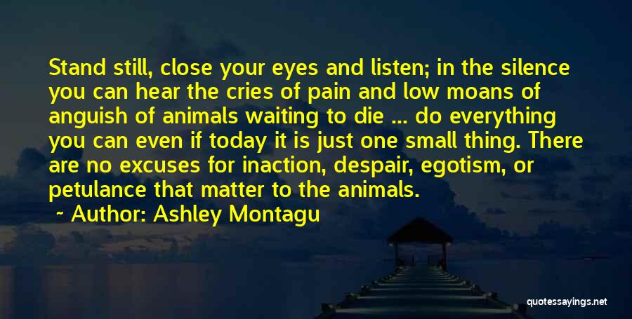 Ashley Montagu Quotes: Stand Still, Close Your Eyes And Listen; In The Silence You Can Hear The Cries Of Pain And Low Moans