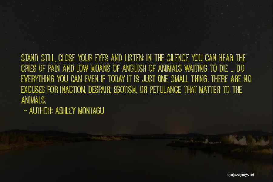 Ashley Montagu Quotes: Stand Still, Close Your Eyes And Listen; In The Silence You Can Hear The Cries Of Pain And Low Moans