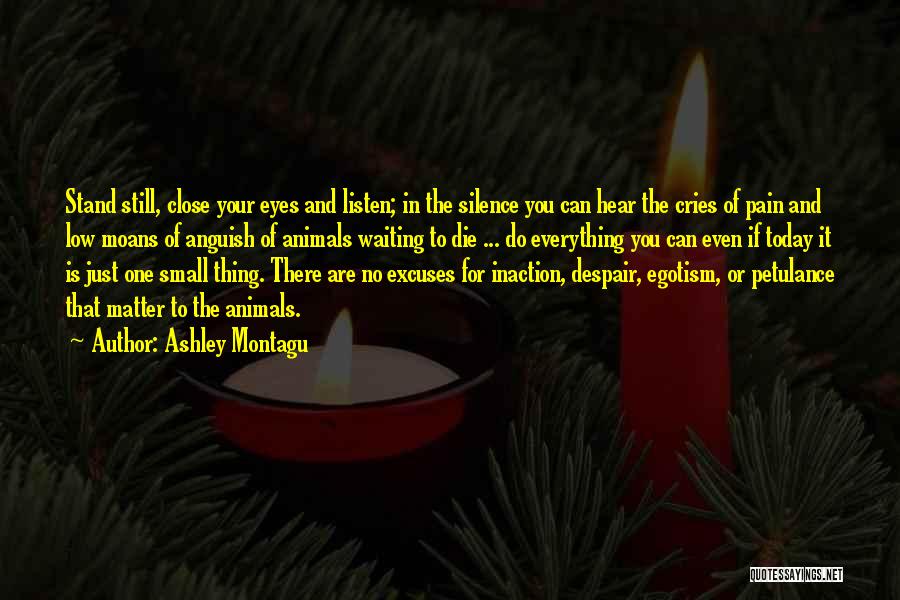 Ashley Montagu Quotes: Stand Still, Close Your Eyes And Listen; In The Silence You Can Hear The Cries Of Pain And Low Moans