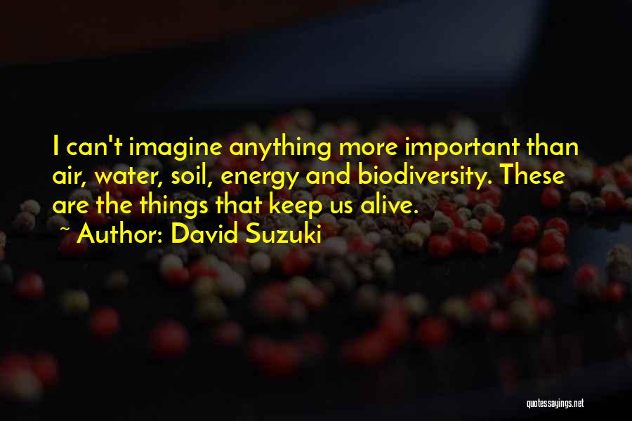 David Suzuki Quotes: I Can't Imagine Anything More Important Than Air, Water, Soil, Energy And Biodiversity. These Are The Things That Keep Us