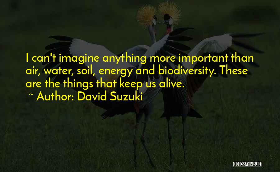 David Suzuki Quotes: I Can't Imagine Anything More Important Than Air, Water, Soil, Energy And Biodiversity. These Are The Things That Keep Us