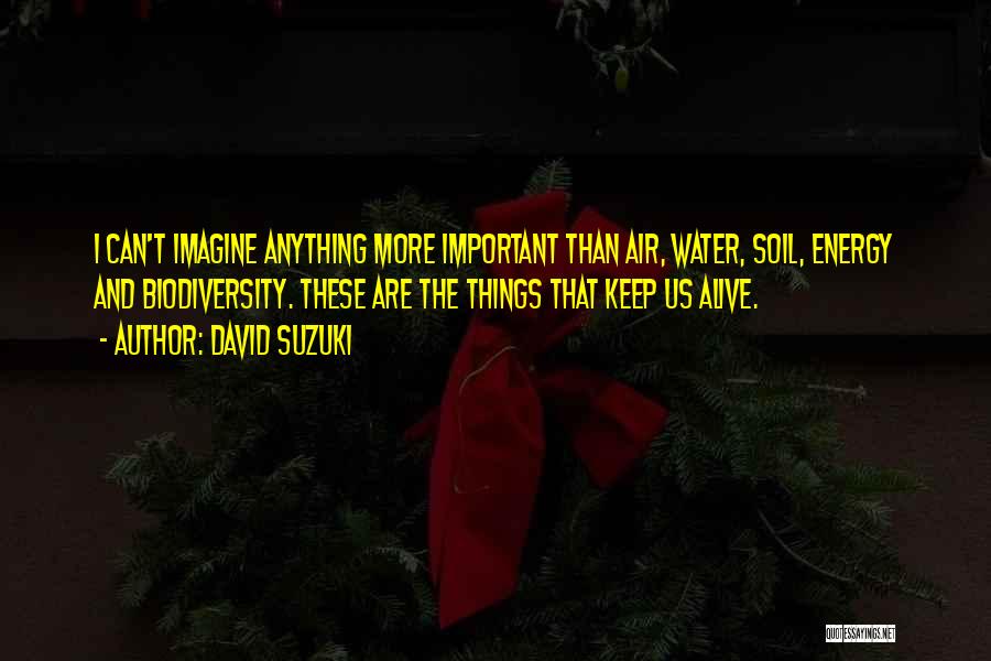 David Suzuki Quotes: I Can't Imagine Anything More Important Than Air, Water, Soil, Energy And Biodiversity. These Are The Things That Keep Us