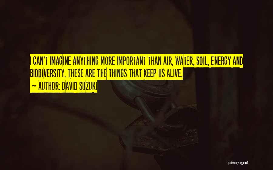 David Suzuki Quotes: I Can't Imagine Anything More Important Than Air, Water, Soil, Energy And Biodiversity. These Are The Things That Keep Us