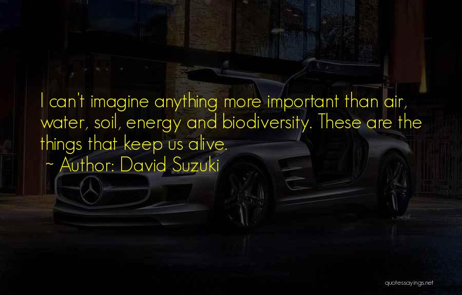 David Suzuki Quotes: I Can't Imagine Anything More Important Than Air, Water, Soil, Energy And Biodiversity. These Are The Things That Keep Us