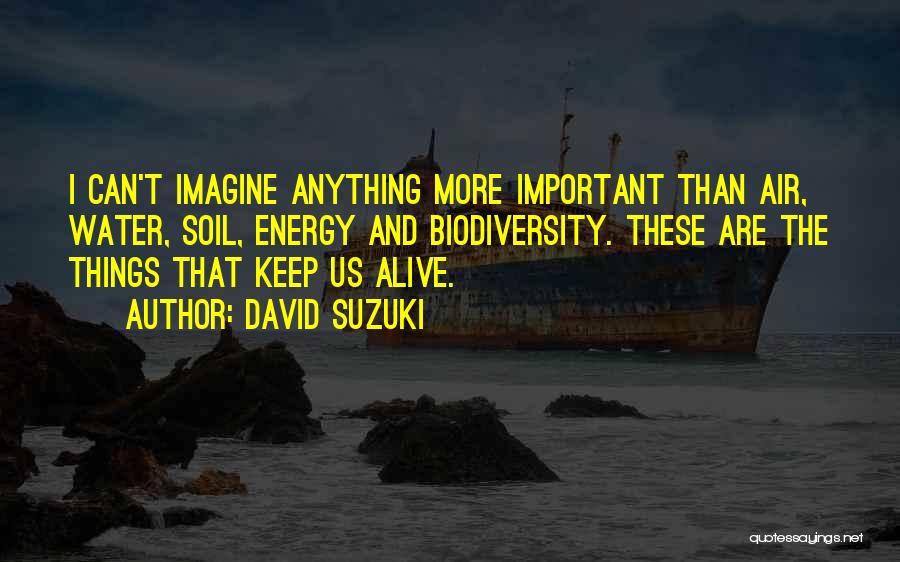 David Suzuki Quotes: I Can't Imagine Anything More Important Than Air, Water, Soil, Energy And Biodiversity. These Are The Things That Keep Us