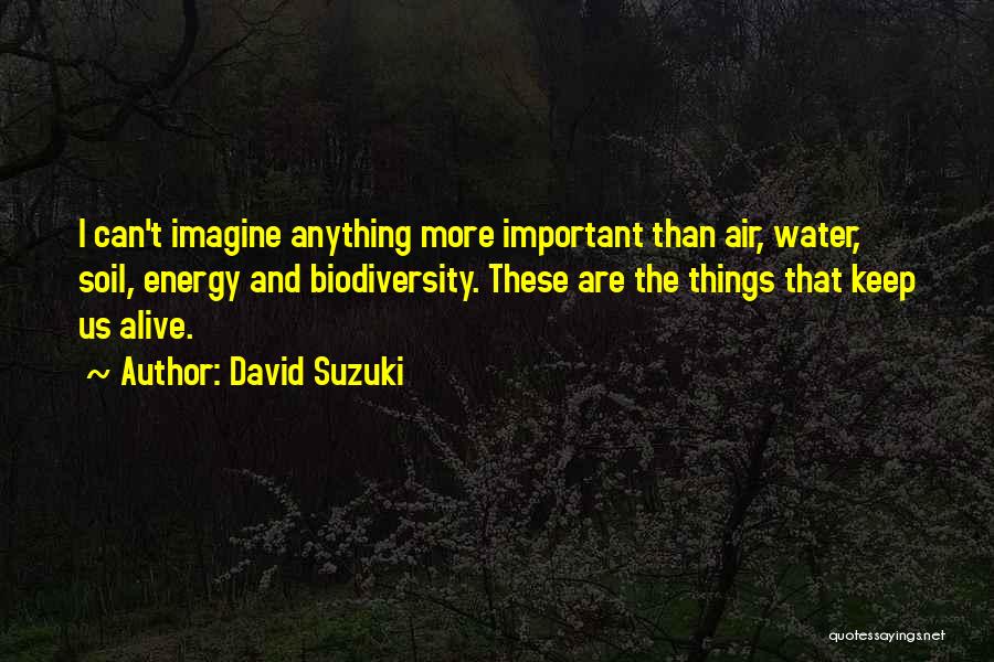 David Suzuki Quotes: I Can't Imagine Anything More Important Than Air, Water, Soil, Energy And Biodiversity. These Are The Things That Keep Us